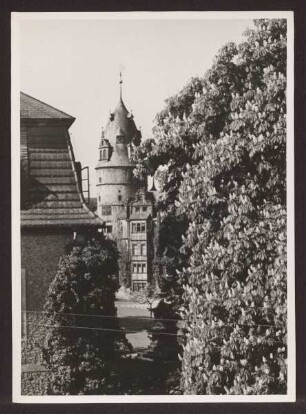Das Schloß vom Rosental gesehen. Detmold. Schloßplatz. Papierabzug