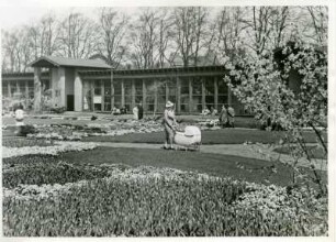 Hamburg. Planten und Blomen. Erika fährt Angela aus. Das kleine Mädchen ist bei einem Luftangriff 1944 ums Leben gekommen