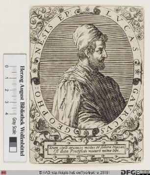 Bildnis Luca Gaurico