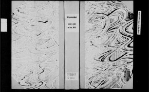 Wessental, katholische Gemeinde: Standesbuch 1810-1870