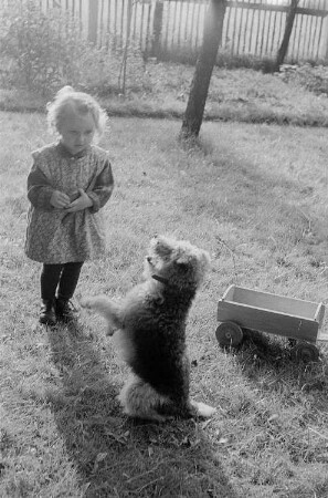 Ein kleines Mädchen und Rössings Hund