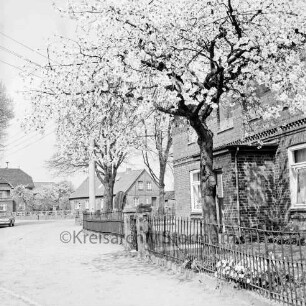Dorfstraße: rechts Wohnhaus: davor blühende Apfelbäume und Zaun: hinten Bauernhäuser