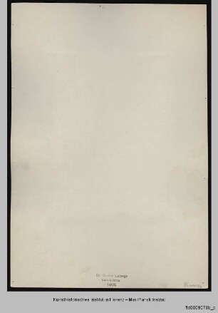 Porträt eines Mannes in Rüstung (sog. Gaston de Foix)