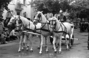 Freiburg: Schützenstraße, Schimmelgespann