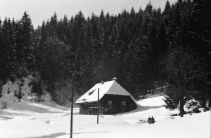 Hinterzarten: Haus am Wald