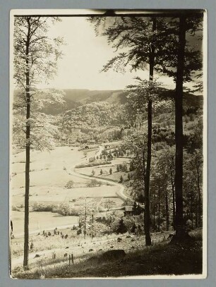 Blick auf Bad Harzburg
