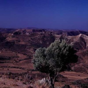 Kos. Blick zum Kastellplateau von Andimachia