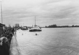 Hochwasser 1955 am Oberrhein