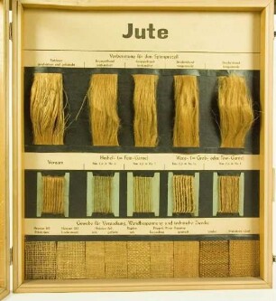 Jute