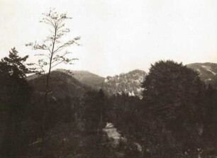 Zittauer Gebirge. Oybin (514 m) von der Rodelbahn am Hochwald