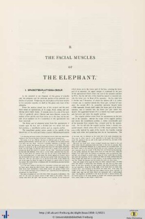 The Facial Muscles of the Elephant.