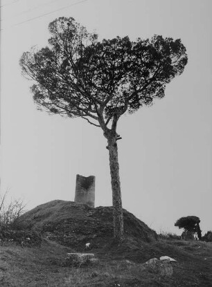 Archivfotografie "ausland_italien_rom_21808ae"