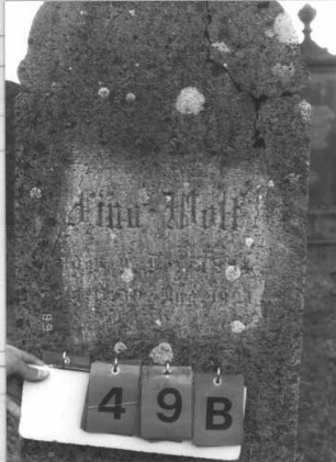 Grabstein 49 (Index: 99609685) Material: Kunststein Zustand: verwittert, gerissen Beschreibung: Stele, Bögchenabschluß, getreppter Sockel Symbolik: floral: Grabstein 49B