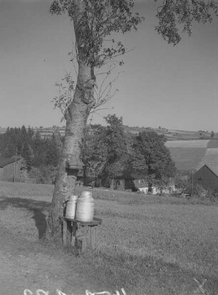 Fürstenau-Müglitz, Milchkannenpodest