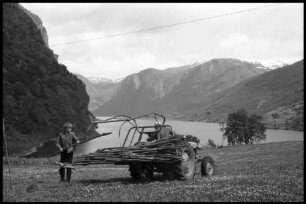 Flåm: Steckenauslegen für die Heuerne , Hintergrund Fjord