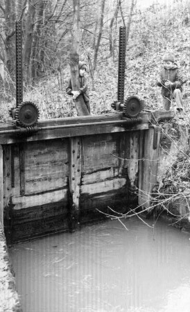 Triebischtal-Garsebach. Anfang des Mühlengrabens zur Fichtenmühle