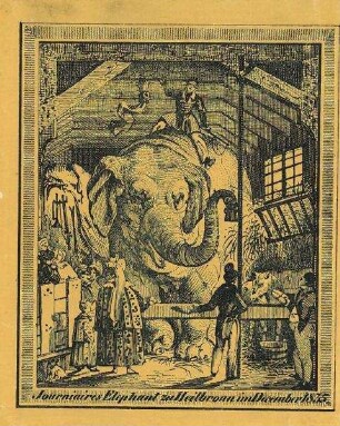 Werbe- bzw. Erinnerungsblatt "Tourniaires Elephant zu Heilbronn im December 1835." (Elefant)