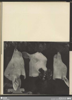Tetes de veau