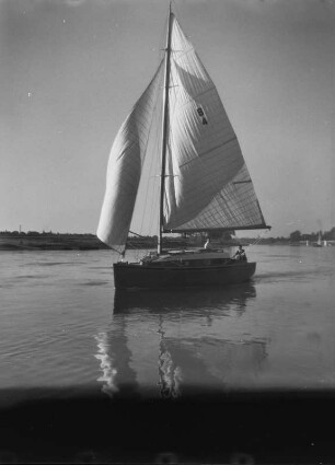 Dresden. Segelboote auf der Elbe zwischen Blasewitz und Pillnitz
