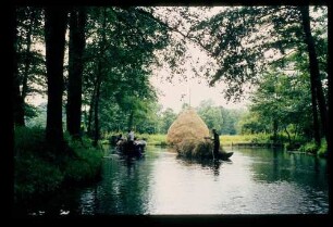 Spreewald 26.7.84.