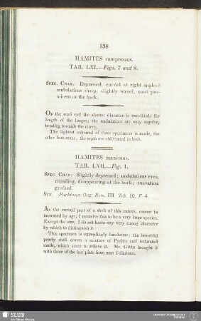 Hamites maximus. Tab. LXII. - Fig. 1