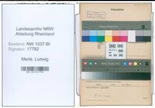 Entnazifizierung Ludwig Merlé , geb. 10.05.1896 (Kaufm.Angestellter)