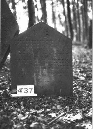 Grabstein 437 (Index: 99898229) Material: Sandstein Zustand: stellenweise leicht angewittert Maße HxBxT: 73x60x9 cm Beschreibung: Stele mit Dreiecksabschluss Besonderheit: Kindergrab: Grabstein 437