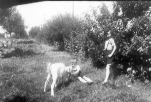 Meißen, Stadtparkhöhe 6. Ramon-Joachim Gerhardt mit einem Spielkameraden und einer Ziege im elterlichen Garten