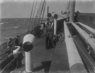 Indischer Elefant : Zwei Jungen auf einem Elefant an Bord des Schiffes „Herzog“