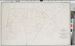 Tungerloh-Capellen (Gescher), Tungerloh-Pröbsting (Gescher), Teilung der Tungerloher Mark, Bl. 3 Reinkarte Pröbsting Seite