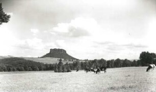 Sächsische Schweiz. Lilienstein. Blick von den Viehweiden nordwestlich unter der Festung Königstein über das Elbtal