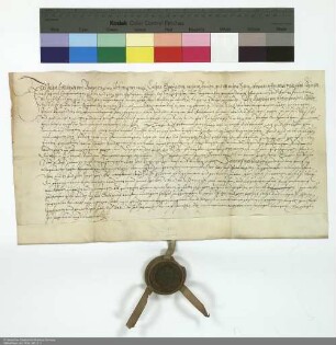 Revers Johann Eberhards von Bommersheim bezüglich der Belehnung mit dem fuldischen Hof in Bommersheim und weiteren im Einzelnen aufgeführten Lehen durch Balthasar [von Dernbach], Abt von Fulda
