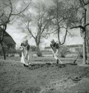 Arbeitsmaiden des Reichsarbeitsdienstes bei der Gartenarbeit im Lager