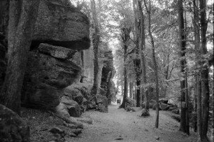 St. Odile: Waldweg der Stationen und Felsen des Odilienbergs