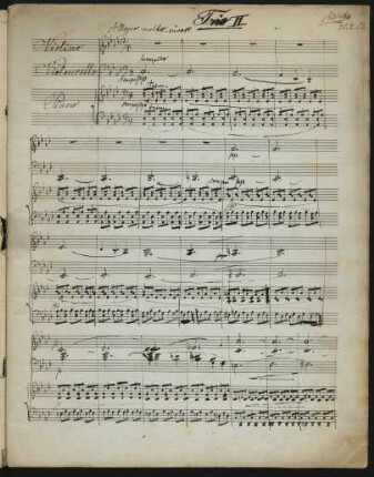 Allegro molto vivace
