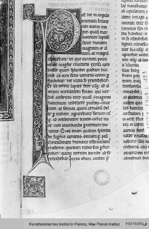 Hildegard von Bingen: Liber divinorum operum : Buchseite mit Text und Initiale P(ost hec)