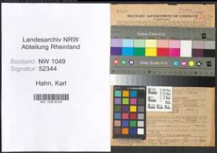 Entnazifizierung Karl Hahn , geb. 06.07.1900 (Krankenpfleger)