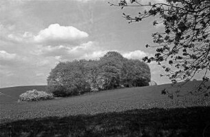 Altkünkendorf