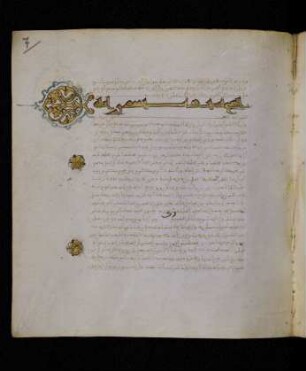 Buchschmuck: Bl. 7r-7v