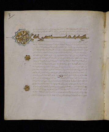 Buchschmuck: Bl. 7r-7v
