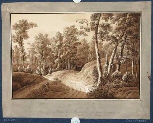 Landschaft, Wald und Weg beim Fischhaus in der Dresdner Heide nordöstlich von Dresden