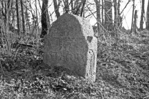 Wiemerskamp: bei Pfingsthorst 17: Grenzstein [Nr. 64] zwischen Adligem Gut Wulksfelde und Adligem Gut Stegen: Seite Stegen