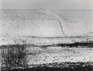 Winterlicher Acker