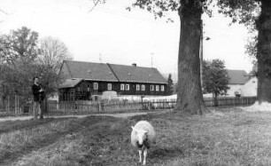 Neukirch. Knochenstampfe, Ansicht