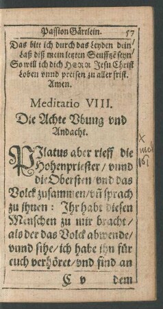 Meditatio VIII.