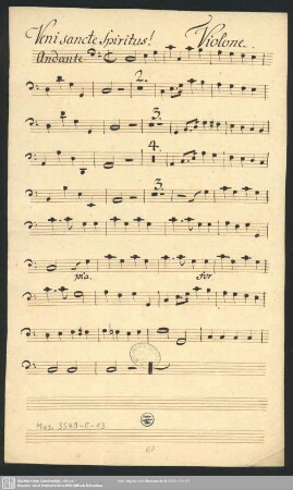 Violone.