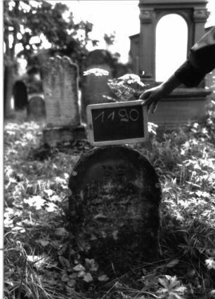 Grabstein 1190 (Index: 100104344) Material: Sandstein Zustand: fast vollständig verwittert Maße HxBxT: 67x40x13 cm Beschreibung: Stele mit Rundbogenabschluss Besonderheit: Mädchen: Grabstein 1190