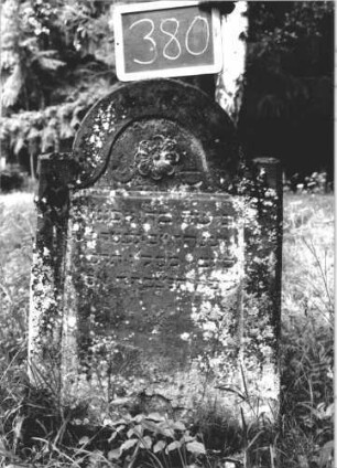 Grabstein 380 (Index: 99895805) Material: Sandstein Zustand: bewachsen Maße HxBxT: 100x60x13 cm Beschreibung: Stele mit eingezogenem Rundbogenabschluss Symbolik: Blüte: Grabstein 380 (1)