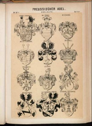 Taf. 454. Czirn v. Terpitz. - De Terra. - Du Terrail. - De La Terrasse. - Teschen. - Tesmar I. - Tesmar II. - Tessen. - Tettau. - Tettenborn. - Tettenborn v. Wolff. - Tetzlaff-Regawski