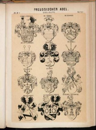 Taf. 454. Czirn v. Terpitz. - De Terra. - Du Terrail. - De La Terrasse. - Teschen. - Tesmar I. - Tesmar II. - Tessen. - Tettau. - Tettenborn. - Tettenborn v. Wolff. - Tetzlaff-Regawski
